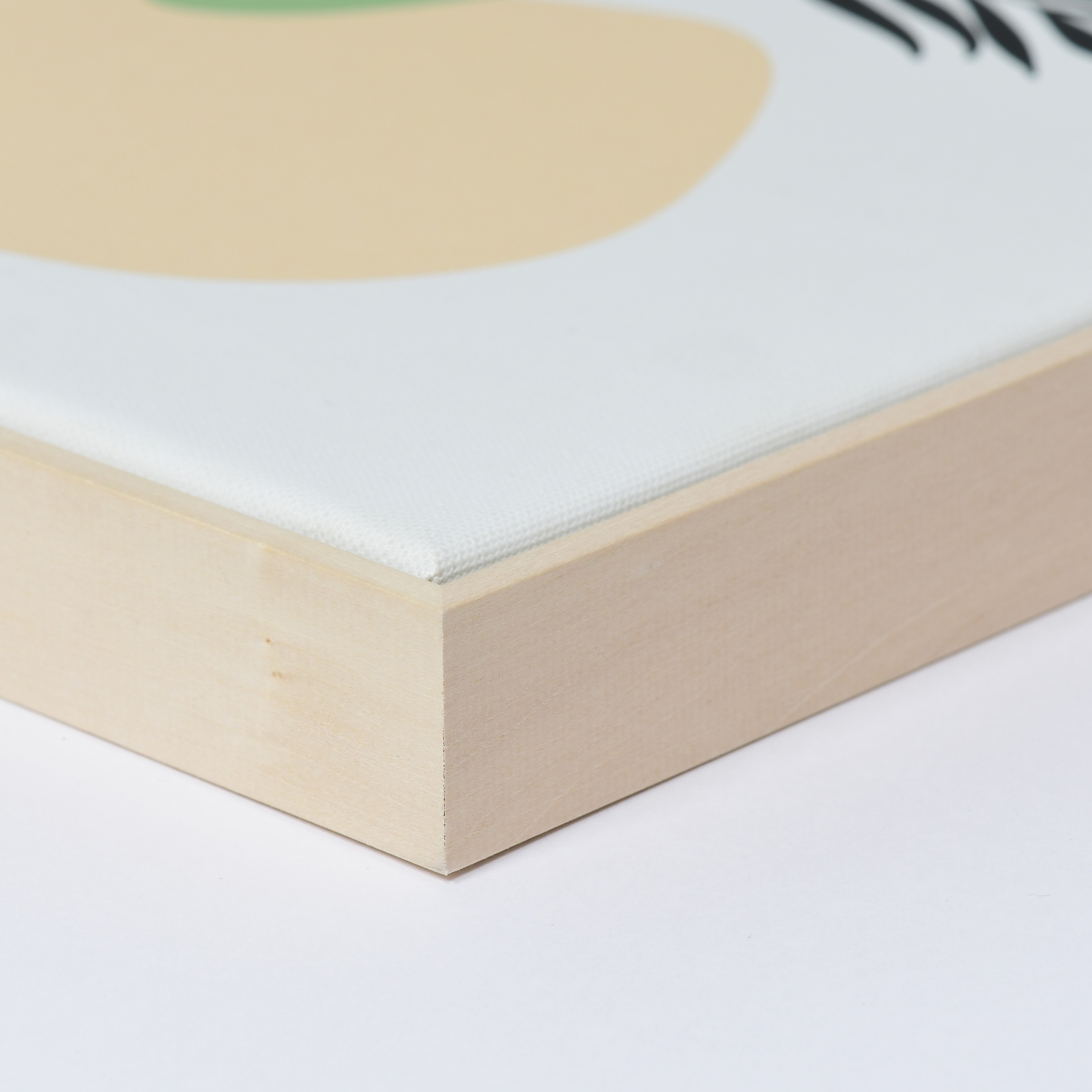 Canvas frames